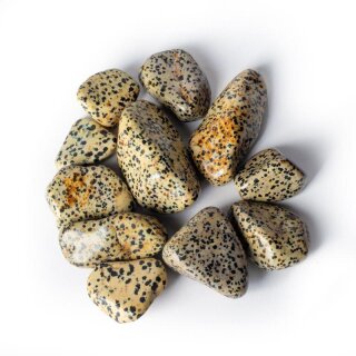 Dalmatiner Jaspis Trommelstein 4-8cm