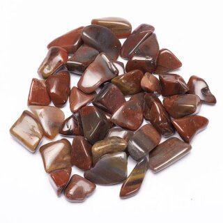 Versteinertes Holz Trommelstein 2-3cm