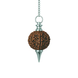Fillable Pendulum